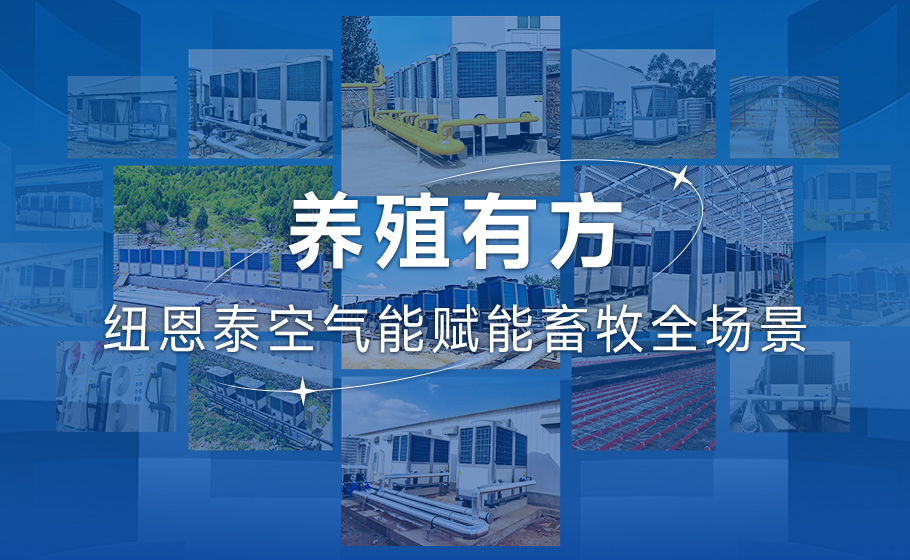 养殖有方！9888拉斯维加斯空气能赋能畜牧全场景！